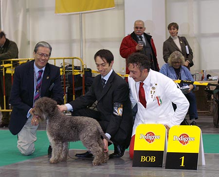 bob donnarachele di villa fedrici.jpg